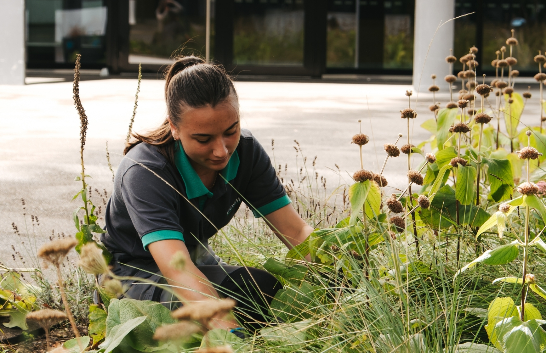 Rejoignez-nous | Service Espaces verts | DOSIM